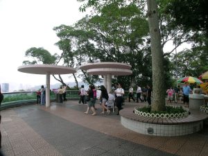 司徒拔道觀景臺：俯瞰維港的隱秘